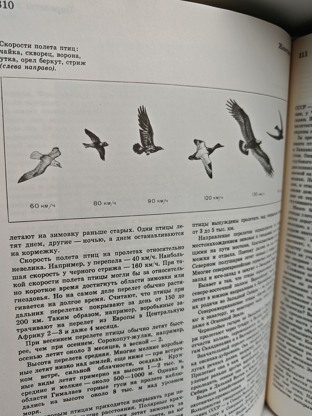 Детская энциклопедия. Том 4. Растения и животные