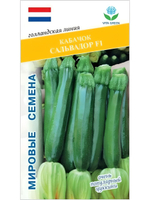 Семена кабачков Сальвадор F1, 5 семян (Vita Green / Вита Грин)