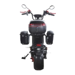 Электроскутер SKYBOARD CITYCOCO FAR EAST 5000