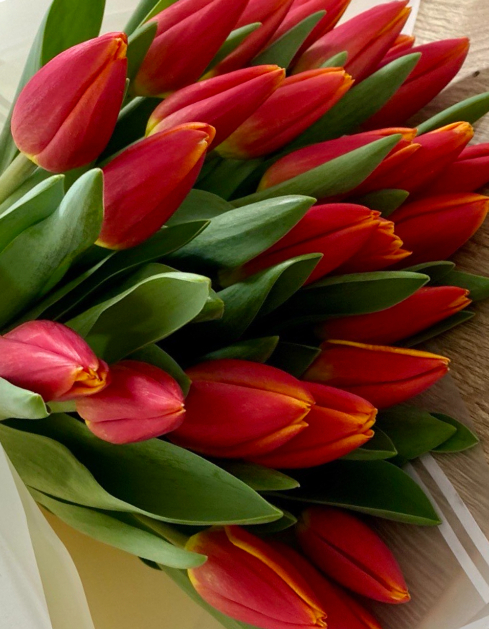 Букет из 25 розово-жёлтых тюльпанов