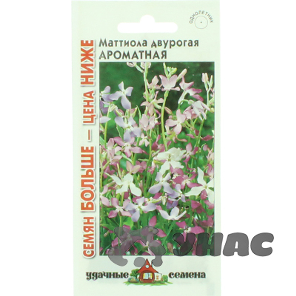 Маттиола ароматная  Удачные семена семян больше Гавриш