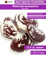 Фасоль Лимская вьющаяся