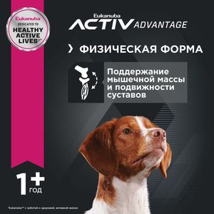 Корм для взрослых собак  средних пород, Eukanuba Dog MEDIUM ADULT