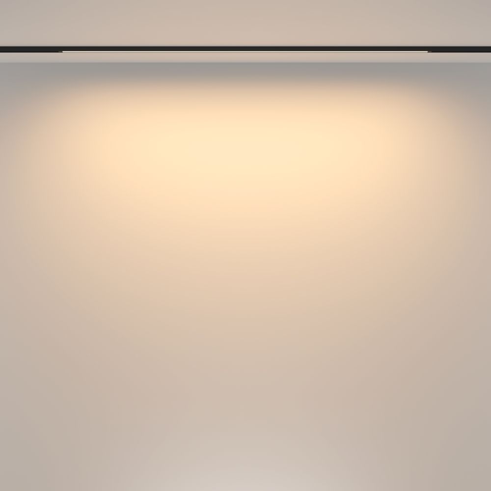 Трековый светильник Technical TR173-1-24WTW-B