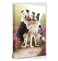 Halk Neşeli Dostlar Süresiz Planlama Defteri