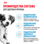 Royal Canin Medium Puppy Корм сухой для щенков средних размеров до 12 месяцев 3 кг
