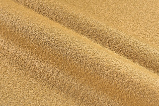 Букле Lanvin (Ланвин) 512