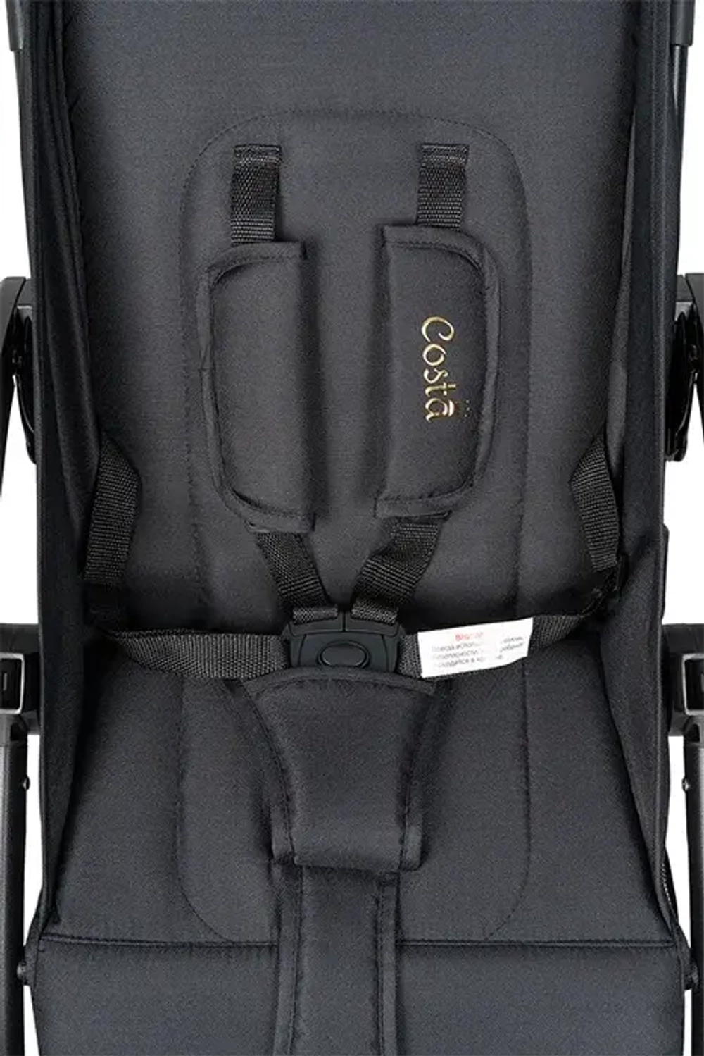 Коляска детская прогулочная COSTA Rio (Black gold/Черное золото CR-1)