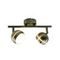 Светодиодный спот Arte Lamp Venerd A6009PL-2AB