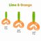 Твистер Helios Credo Double Tail 3,54"/9 см Lime & Orange 5шт. (HS-28-020)