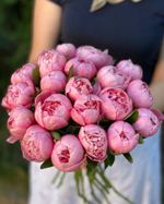 Пионы "Etched Salmon"