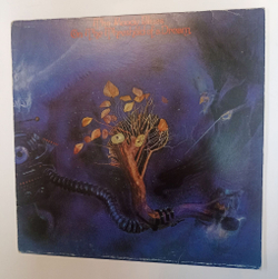Винтажная виниловая пластинка LP The Moody Blues On The Threshold Of A Dream (Germany 1976)