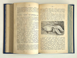 Аквариум любителя. Подробное описание флоры и фауны Аквариума / Н.Ф. Золотницкий. 2-е изд. М.. 1890