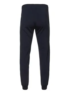 Брюки мужские, размер L, цвет тёмно-синий