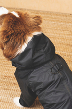 Комбинезон "Пони-комбинезони" черный