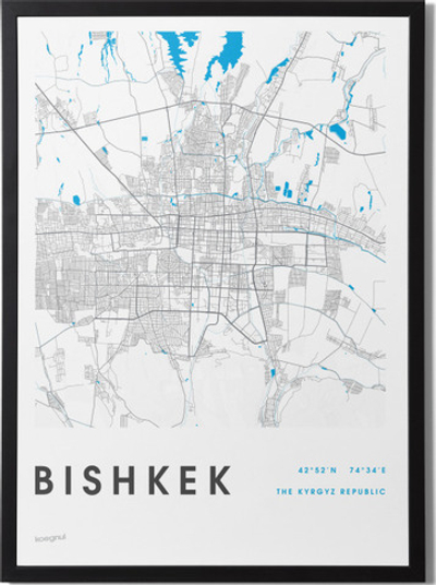 Постер Bishkek city map [white]