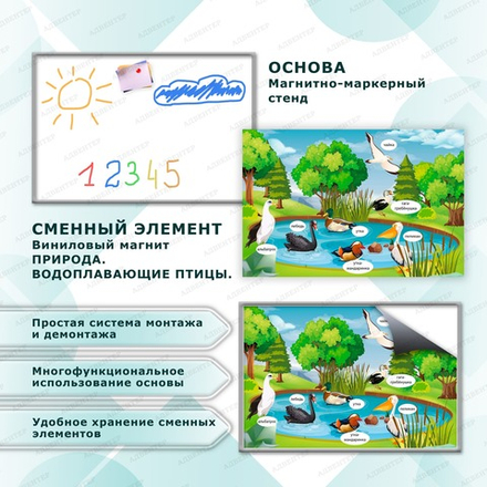 Комплект развивающий ПРИРОДА. ВОДОПЛАВАЮЩИЕ ПТИЦЫ. 2166