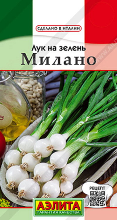 Лук на зелень Милано