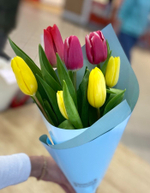 Букет из 7 жёлтых и красных тюльпанов