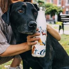 Chilly&#39;s Bottles Термос Emma Bridgewater 500 мл Dogs