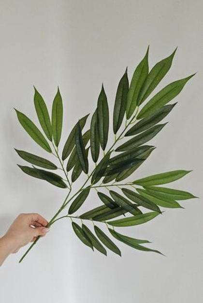 Лонгифолия 4 ответвления зеленая / Арт 1035