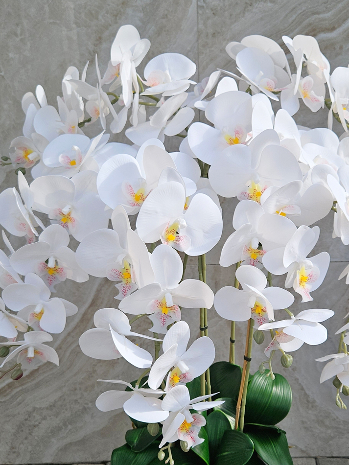 Орхидеи белые люкс 7 веток 120см в белом кашпо ротанг 41см