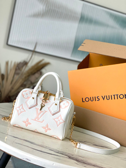 Louis Vuitton Speedy 20