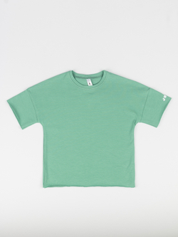 Футболка (Полынь) Basics