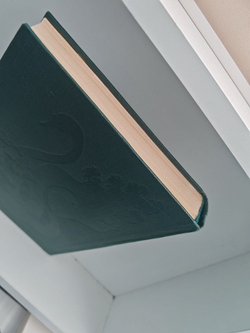 Мир животных. Рассказы о птицах