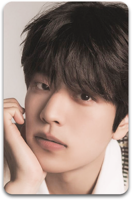 Карта / STRAY KIDS #3159