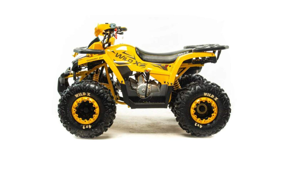 Квадроцикл Motoland VOX125 WILD X