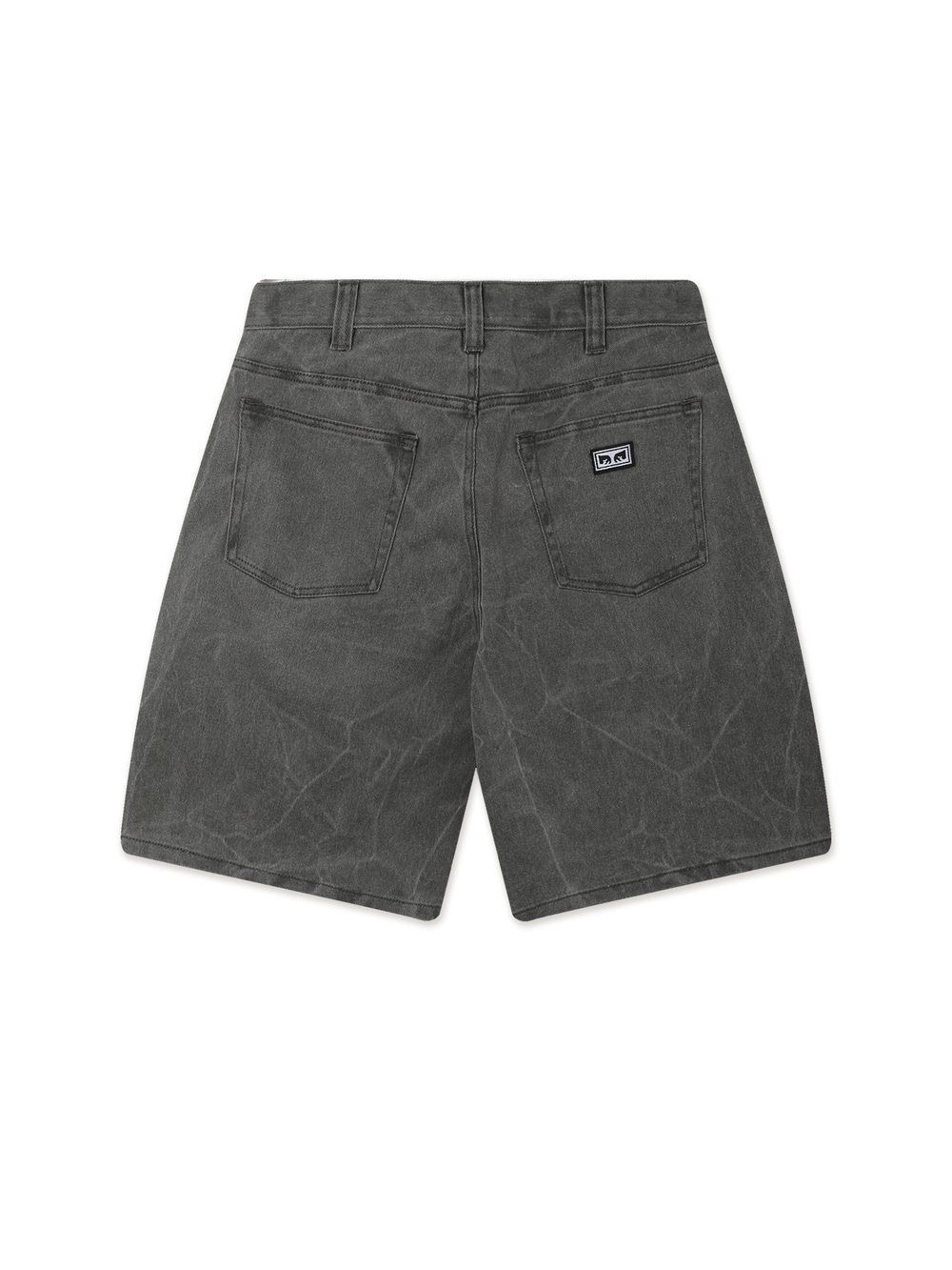 Мужские Шорты Bigwig Baggy