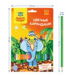 Карандаши цветные Мульти-Пульти "Енот в Индии", 36цв., заточен., картон, европодвес