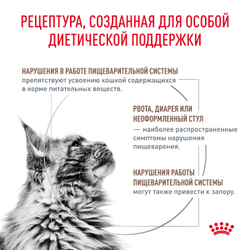 Сухой корм Royal Canin GASTROINTESTINAL FIBRE RESPONSE (ГАСТРОИНТЕСТИНАЛ ФАЙБР РЕСПОНС) диетический для кошек при запорах - 0,35 кг