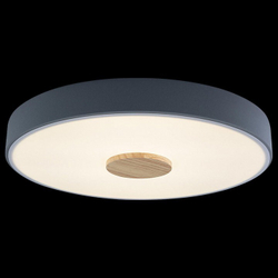 Накладной светильник Loft it 10003/24 Grey