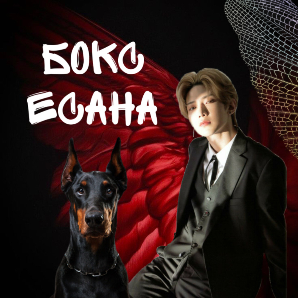 Бокс Есана