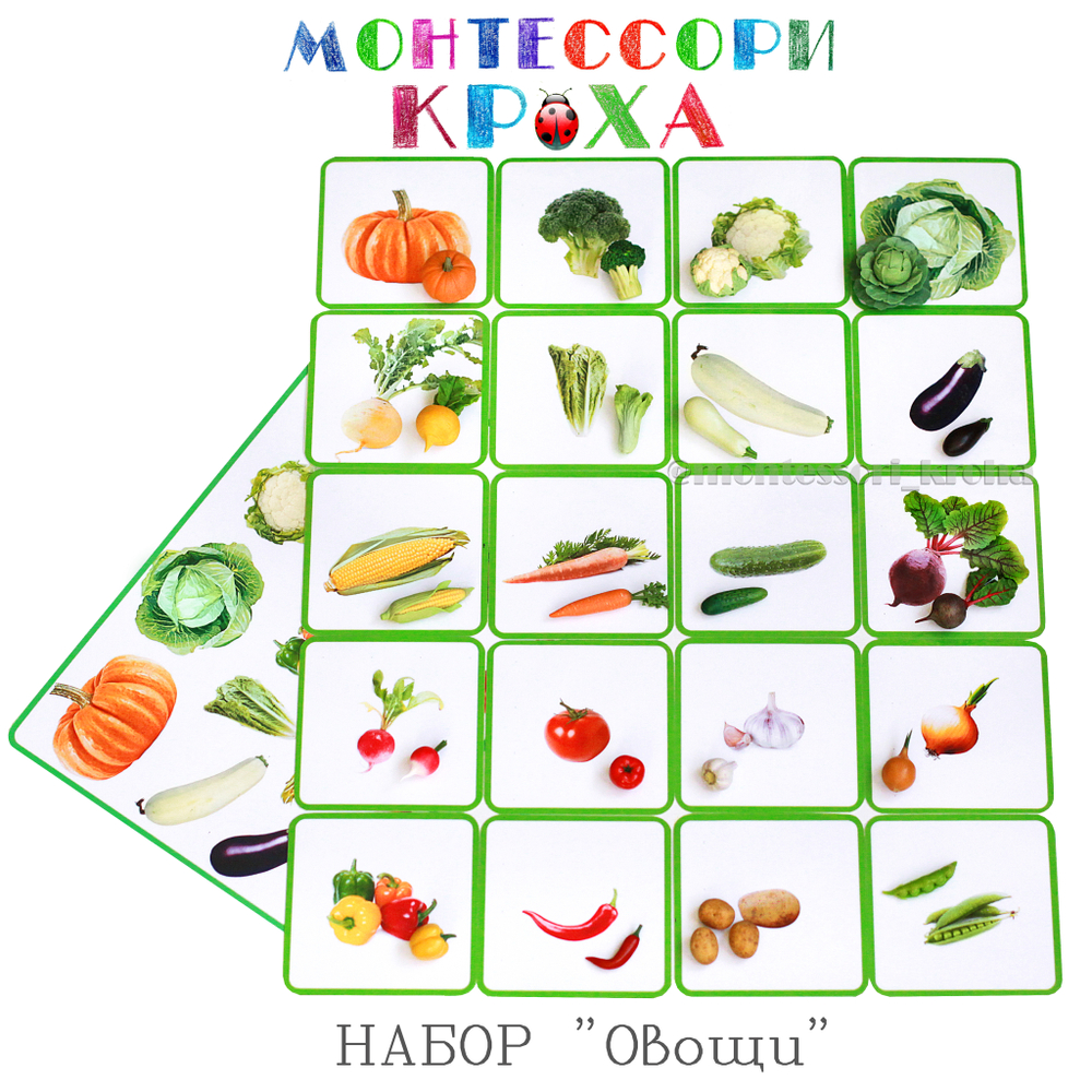 КАРТОЧКИ МОНТЕССОРИ НАБОР «Овощи»