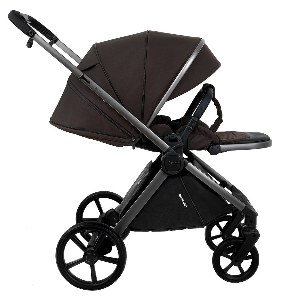 Коляска 2 в 1 Pituso Teffy Turkish Coffee шасси Graphite