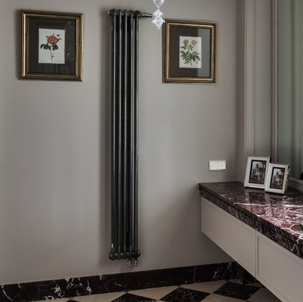 Трубчатый радиатор Arbonia 2180V - 1 секция