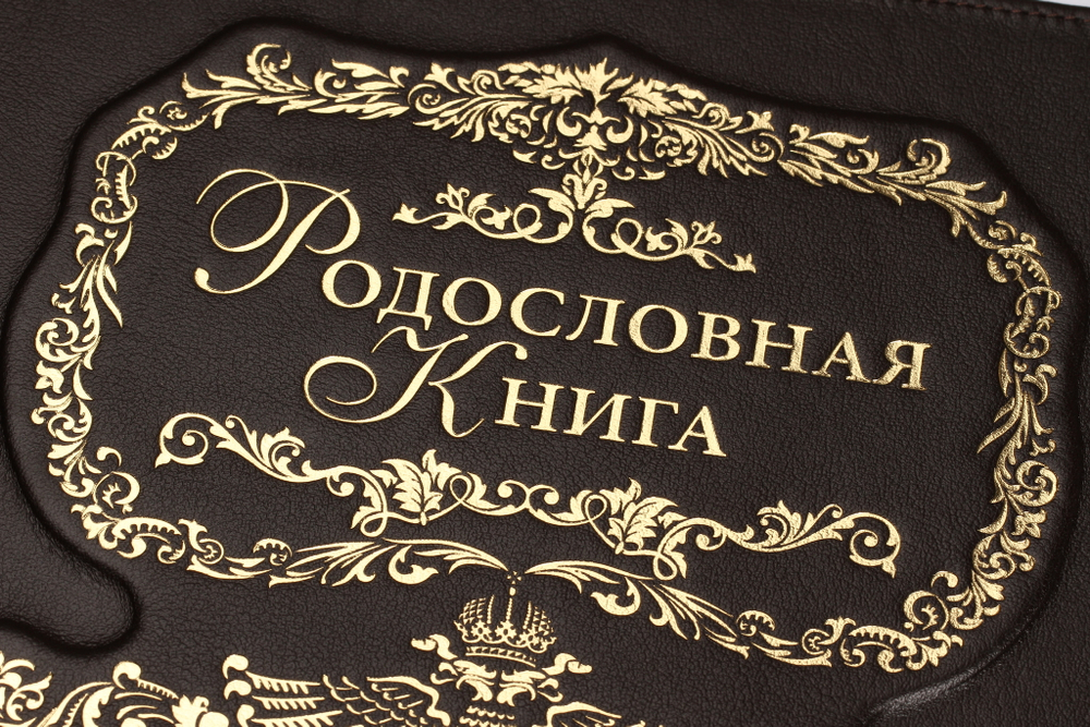 Родословная книга "Изысканная. Летописец" (кожа)