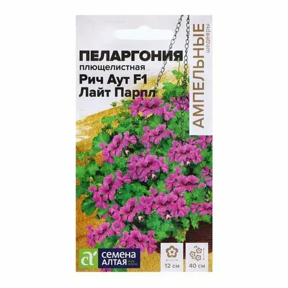 Пеларгония Семена Алтая
