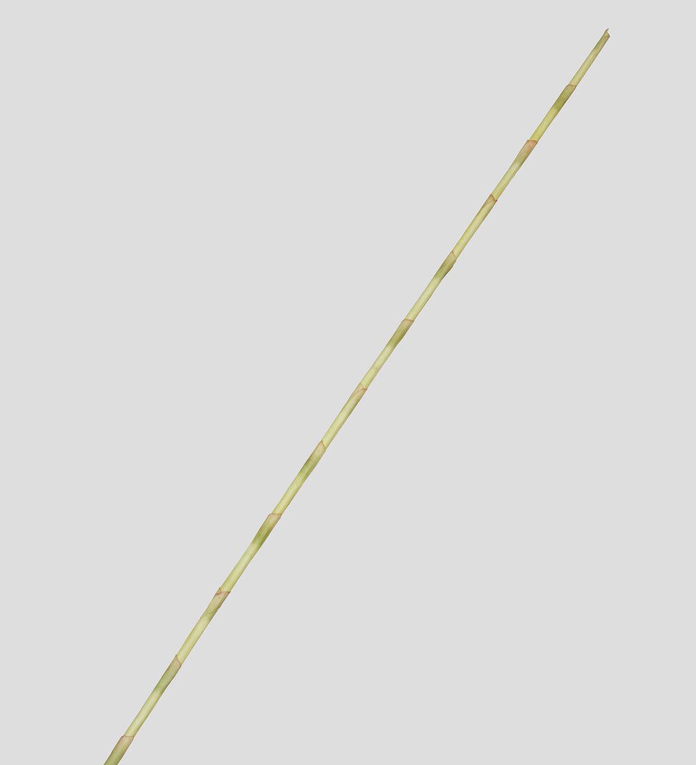 TR 520L Декоративное дерево