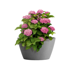 Кашпо, коллекция Classic, форма BOWL