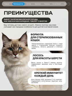Корм сухой для стерилизованных кошек породы Невская маскарадная, с лососем, 2 кг, QUATTRO