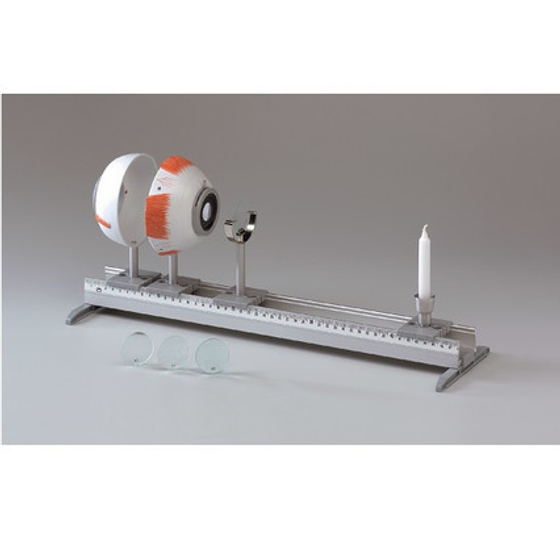 "Модель глаза человека" Комплект лабораторного оборудования