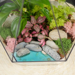 Готовый флорариум тропический Алмаз с озером