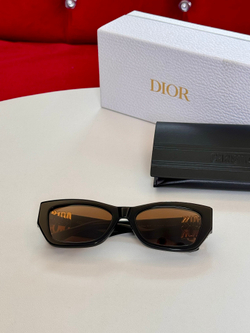 Christian Dior Glasses