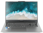 Ноутбук  Nerpa Caspica I552-17 17.3 ", Core i5, 64 Гб RAM, 2 Тб SSD, Iris Xe Graphics, Серый