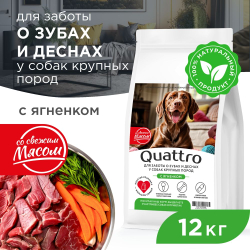 Корм сухой для взрослых собак крупных пород, премиум полнорационный комплекс, для заботы зубов и десен, с ягненком, 12 кг, QUATTRO