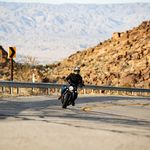 Gringo SV / Черно-коричневый